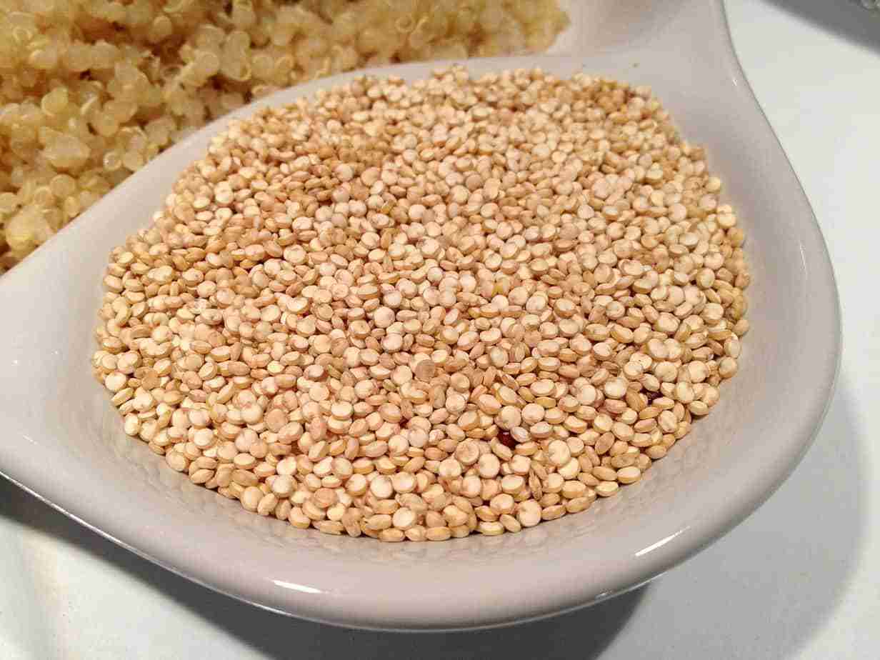 quinoa proprieta
