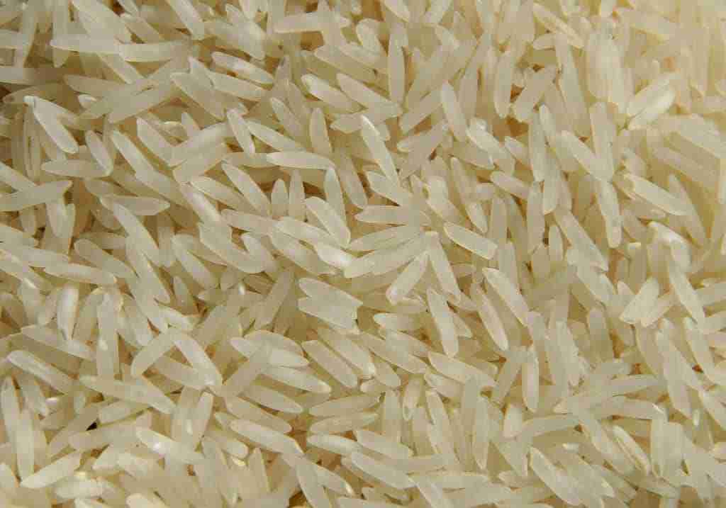 Riso Basmati italiano? Non esiste! Nasce sotto le pendici dell'Himalaya