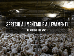 sprechi-alimentari-allevamenti-report-wwf-cinque-gusti