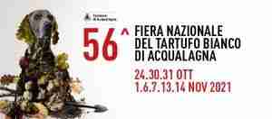 fiera del tartufo di acqualagna