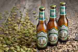 Theresianer premium pils