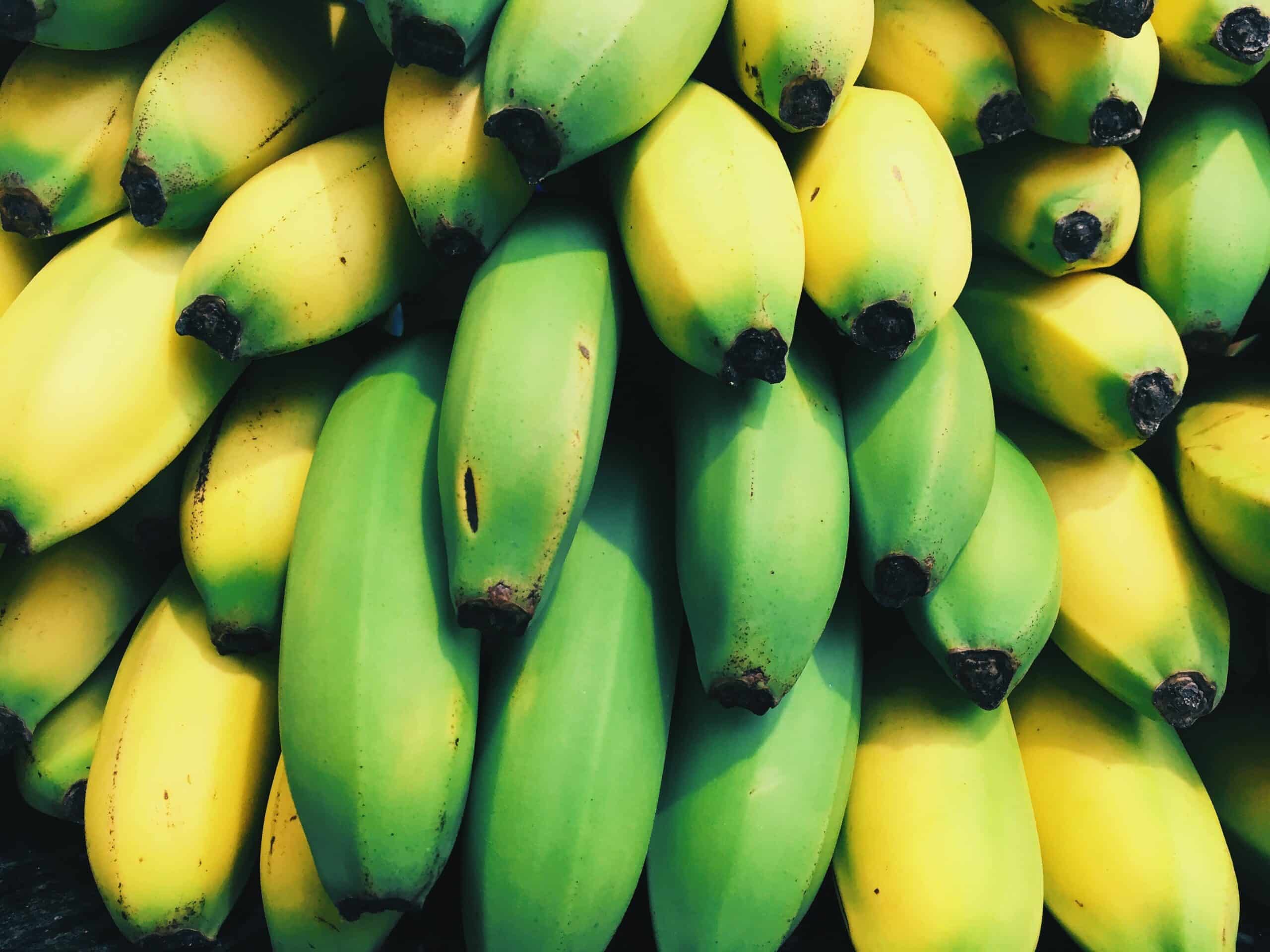 amido nelle banane riduce i tumori cinque gusti