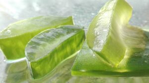 aloe vera benefici cinque gusti food magazine